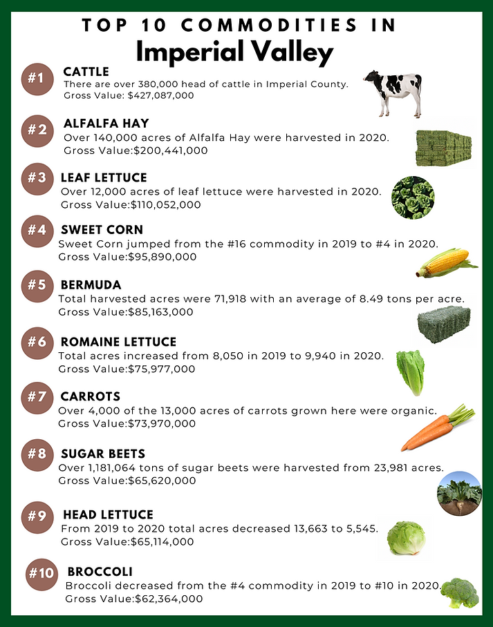 Imperial Valley Agriculture ICFB site